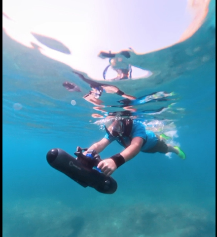 excursionSAFARI